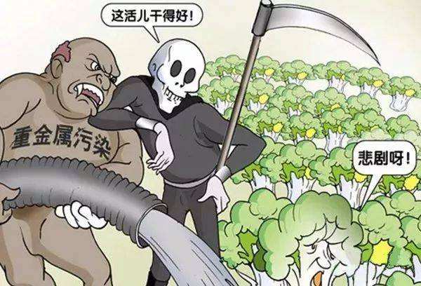  糧食安全如何得到保障？